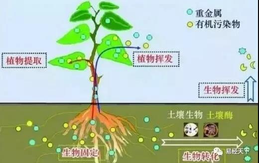 廣東筑境生態(tài)園林有限公司