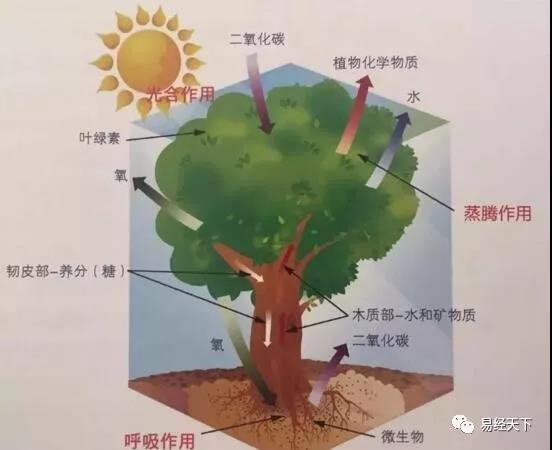 廣東筑境生態(tài)園林有限公司