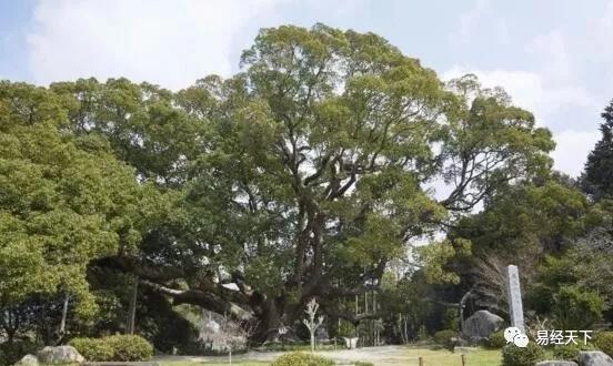 廣東筑境生態(tài)園林有限公司