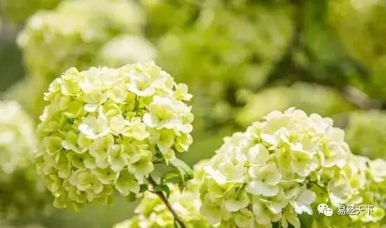 廣東筑境生態(tài)園林有限公司